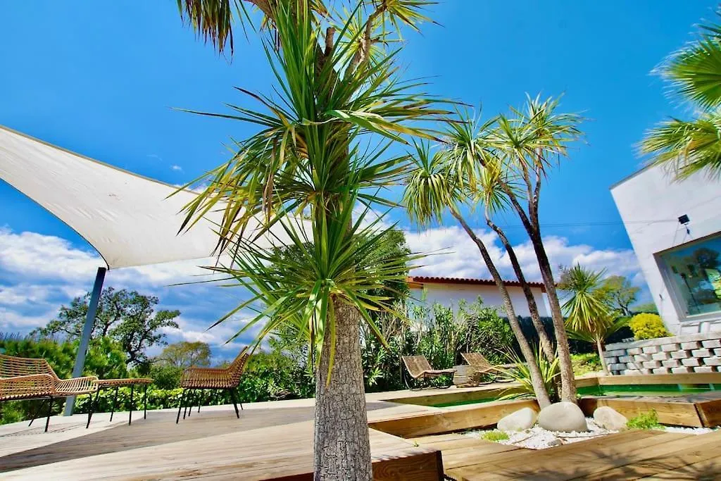 Villa Cinta: Luxurious 6-Person Villa with Private Pool and BBQ Massanet De La Selva Spain